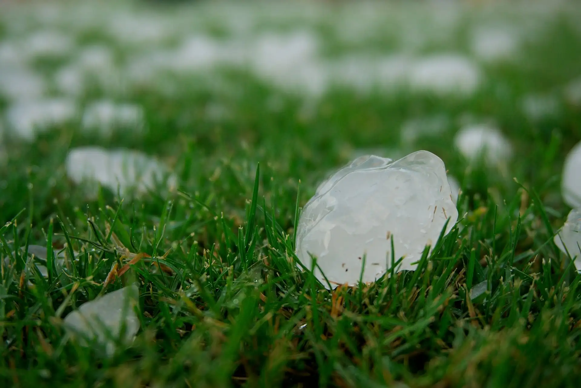 Large hailstone resting in green grass after a storm
