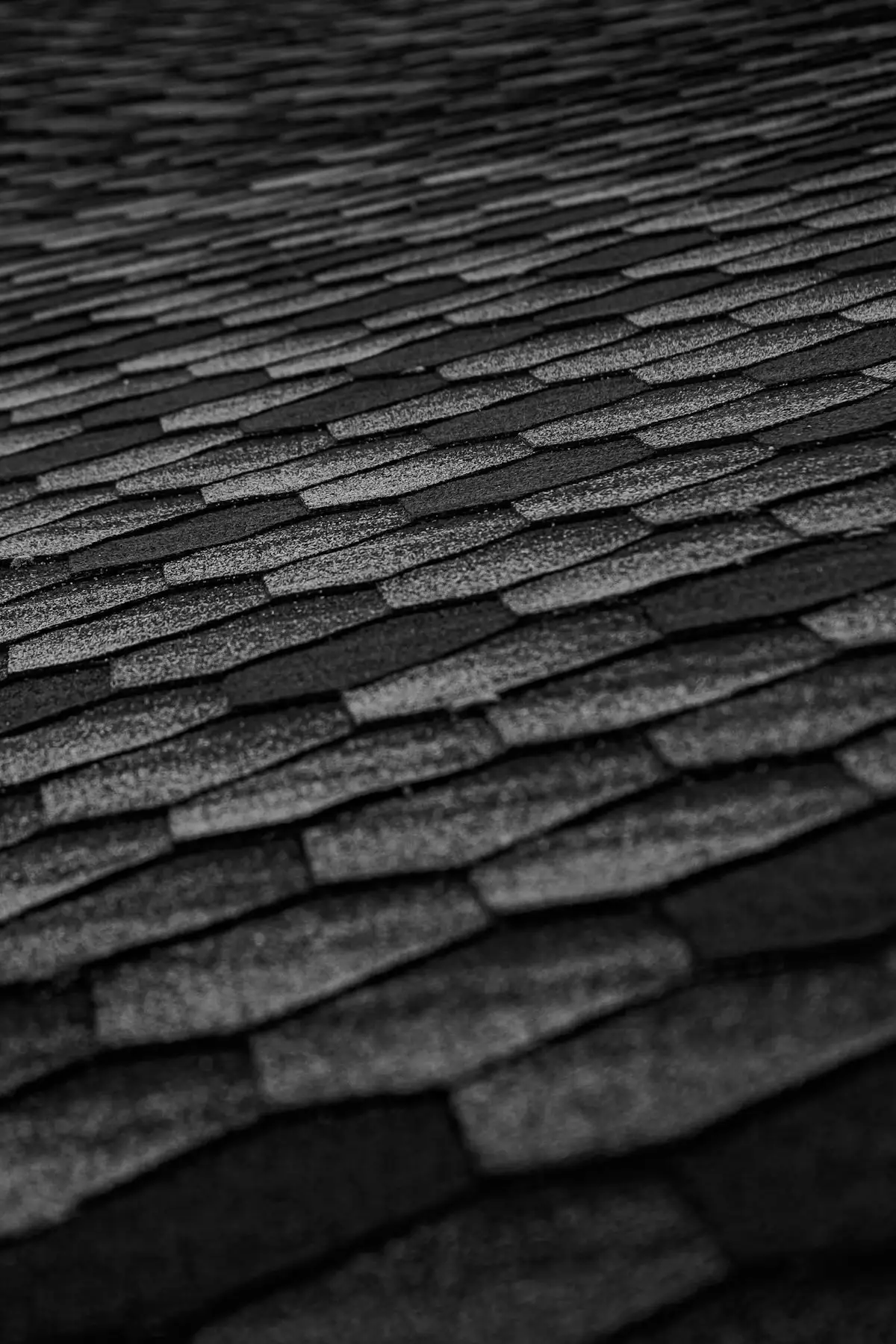 Rows of dark asphalt shingles in raking light